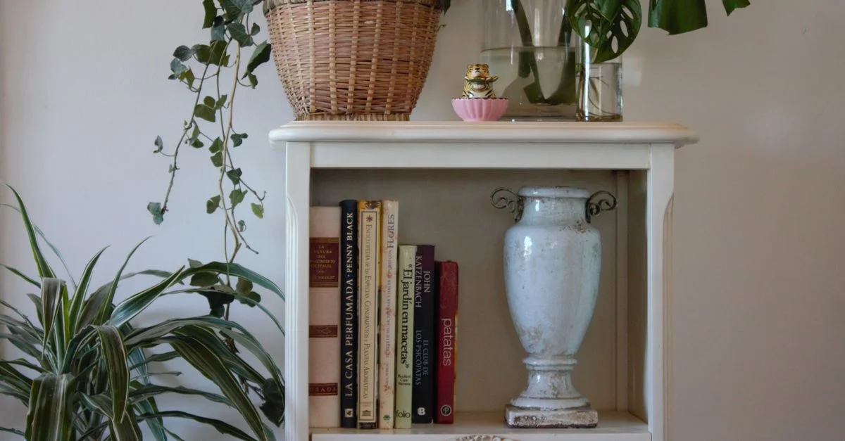 Une étagère en bois avec des livres, des plantes d'intérieur et des objets décoratifs dans une pièce chaleureuse.