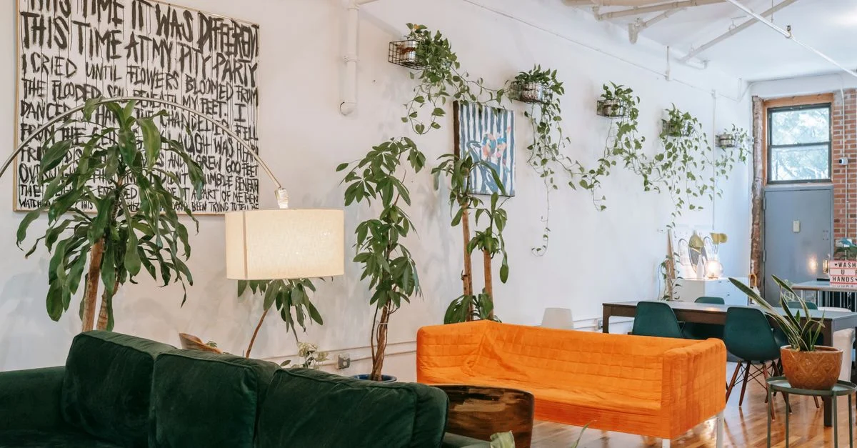 Salon lumineux et chaleureux avec des plantes, des meubles modernes, et de la lumière naturelle.